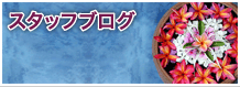 スタッフブログ