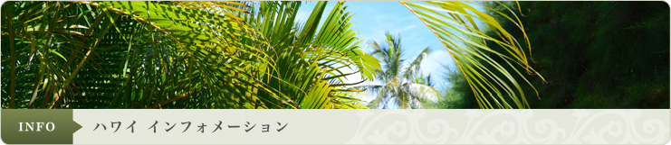 ハワイ インフォメーション